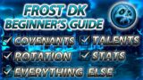 Shadowlands Frost DK Beginner/ Quick Guide 9.0