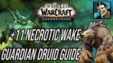 Shadowlands Guardian Druid: +11 Necrotic Wake M+ Guide
