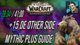 Shadowlands Guardian Druid: +15 De Other Side M+ Guide