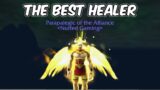 THE BEST HEALER – Protection Paladin PvP – WoW Shadowlands 9.0.2