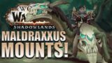 The 9 NEW Maldraxxus Mounts & Where to Find Them | Shadowlands