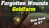 The Forgotten Wounds Goldfarm | How Good is it? | Shadowlands Goldmaking | Marrowroot