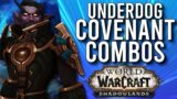 The LEAST Popular Class/Covenant Combinations In Shadowlands! –  WoW: Shadowlands 9.0