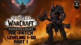 WORLD OF WARCRAFT SHADOWLANDS PRE-PATCH Gameplay – PART 1 – Exile's Reach (no commentary)