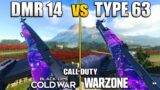 Which Overpowered Gun is Better in Warzone? DMR 14 vs Type 63 | CW Comparing Stats & Class Setups