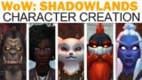 World of WarCraft: Shadowlands Full Character Creation (All Races & Customization Options!)
