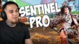 You've NEVER seen a sentinel used like THIS – APEX LEGENDS