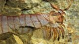 12 Most Amazing Archaeological And Paleontological Finds