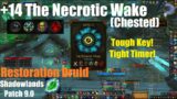 +14 Necrotic Wake (Tyrannical) Chested – Night Fae Restoration Druid – World of Warcraft Shadowlands
