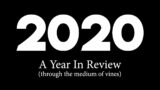 2020 – A Year In Review (through the medium of Vines)