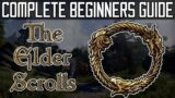 A Beginners guide to The Elder Scrolls Online