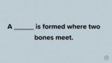 A Joint is formed when two bones meet