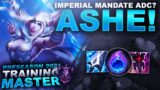 ASHE ADC WORKS WITH IMPERIAL MANDATE? | League of Legends