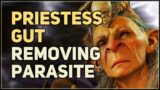 Ask Priestess Gut to Remove Illithid Parasite Baldur's Gate 3