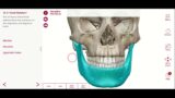 Axial Skeleton and Skull Bones Review