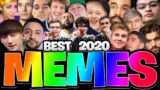 Best Of Apex Legends Memes From The How They Really Play Series! – (The Best Navelow Apex Memes)