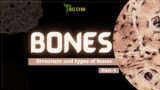 Bones || Structure and types of bone