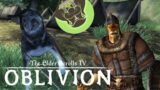 Elder Scrolls IV: Oblivion but I just kill dogs and drink too much