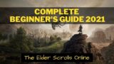 Elder Scrolls Online Beginner's guide 2021 [ESO VIP SUCCESS FAST TRACK]