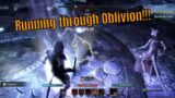 Elder Scrolls Online – Crossing the Chasm…In Oblivion!!!