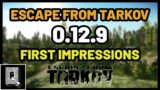 Escape From Tarkov 0.12.9 First Impressions