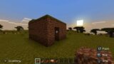 Every Minecraft players first build