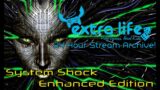Extra Life 2020 – System Shock