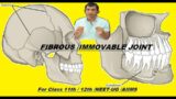 FIBROUS / IMMOVABLE JOINT / SYNARTHROSIS