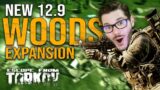 FIRST WOODS EXPANSION RAID (12.9) | Escape From Tarkov