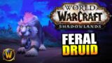 Feral Druid on the Shadowlands Beta // World of Warcraft