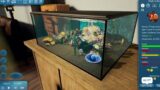 Fishkeeper Is An Aquarium Sim That Is Basically “Underwater Tamagotchi” ( Game News)