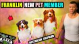 Franklin 3 Rare NEW Pet (AUSTRALIAN SHEPHERD) IN GTA V (Cute Pet)