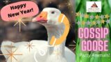 Gossip Goose: Party Animals!