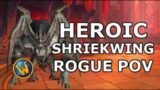 Heroic Shriekwing Outlaw Rogue POV – World of Warcraft (WoW) Shadowlands Raid Castle Nathria