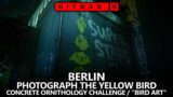 Hitman 3 Berlin – Concrete Ornithology Challenge / Bird Art Achievement/Trophy