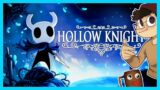 Hollow Knight Stream