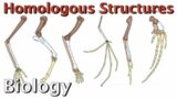 Homologous Structures: Biology Lecture 30