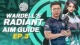 How To Aim Like A RADIANT GOD Pt 3 | The Best WARDELL OP AIM GUIDE (TSM Valorant Tips and Gameplay)