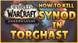 How To Kill Synod! Torghast – World of Warcraft Shadowlands