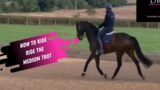 How To Ride The Medium Trot In Dressage