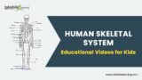 Human Skeleton | Human Body | Skeletal System | Bones | Cartilage | NCERT- CBSE Science Solution