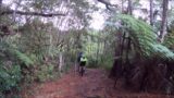 Hunua Ranges Mountain bike trails with the 'Got to Get out' Riders Group