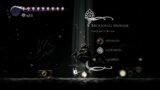 I beat hollow knight bosses on radiant until Silksong comes out