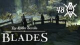Kultisten vergiften *48* The Elder Scrolls: Blades