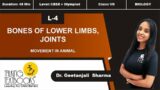 L-4 Bones of Lower Limbs, Joints | Chapter 9 Movement in Animal Class 7 | Dr Geetanjali Sharma | TTB