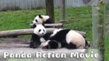 Let’s Watch An Action Movie Together | iPanda