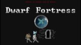 Live : Dwarf Fortress, Nouveau set up Quickfort