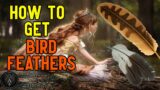 Medieval Dynasty – How To Get Bird Feathers Fast (Beginners Guide)