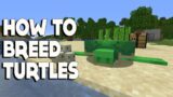 Minecraft #shorts :: How to BREED TURTLES in 1.16.3