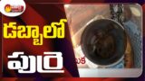 Mysterious Box With Skull And Bones In Palwancha Government Hospital | Sakshi TV